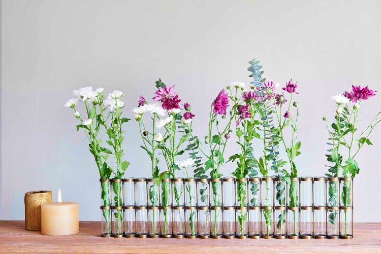 Flower,Flowerpot,Plant,Cut flowers,Pink,Vase,Botany,Flowering plant,Houseplant,Wildflower