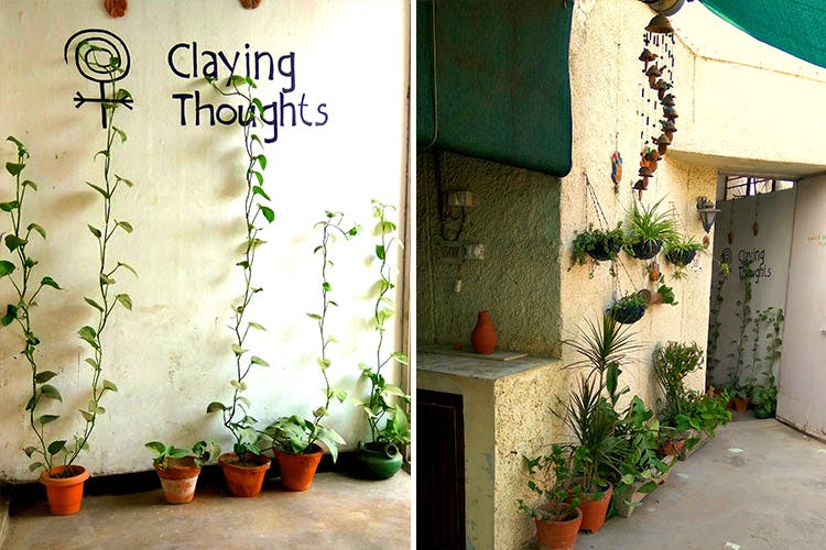 Wall,Flowerpot,Plant,Houseplant,Tree,House,Flower,Architecture,Door,Home