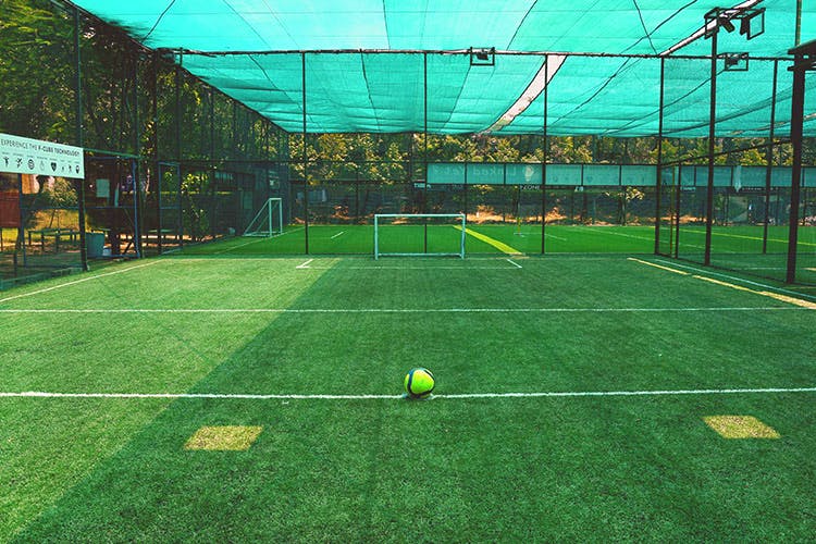 Sport venue,Grass,Ball game,Sports,Artificial turf,Net,Stadium,Sports equipment,Team sport,Soccer-specific stadium