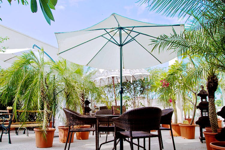 Umbrella,Furniture,Resort,Tree,Patio,Building,Canopy,Palm tree,Shade,Vacation