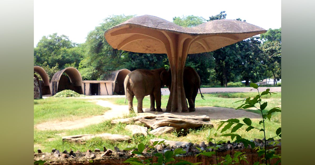 Visit The Delhi Zoo For The Perfect Fam Getaway | LBB