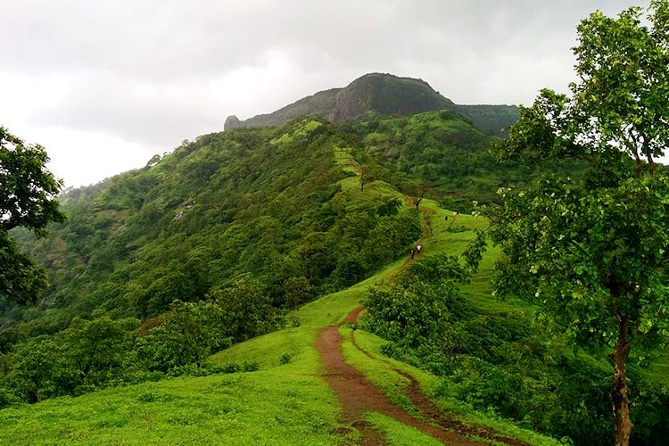 Highland,Natural landscape,Nature,Vegetation,Hill station,Green,Hill,Mountainous landforms,Natural environment,Nature reserve