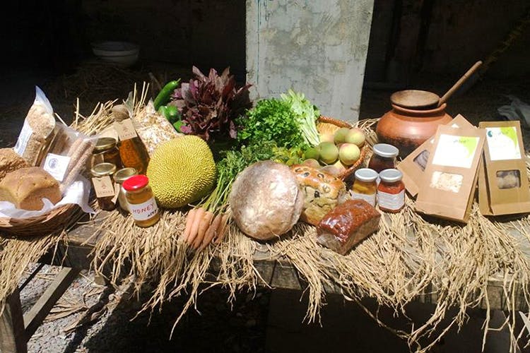 Grass family,Vegetable,Food,Plant,Vegetarian food,Cuisine,Herb