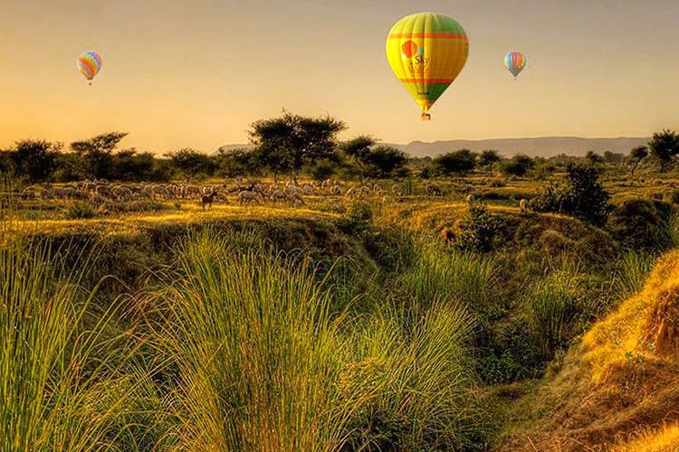 Hot air ballooning,Hot air balloon,Sky,Natural environment,Balloon,Air sports,Cloud,Vehicle,Grass,Landscape
