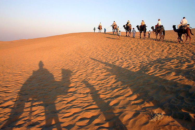 Desert,Sand,People in nature,Aeolian landform,Natural environment,Sahara,Dune,Camel,Erg,Ecoregion