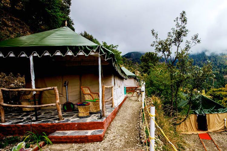 House,Hut,Rural area,Shack,Jungle,Hill station,Tree,Home,Building,Cottage