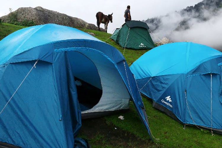 Tent,Camping,Green,Tarpaulin,Grassland,Fell,Camp,Grass,Leisure,Recreation
