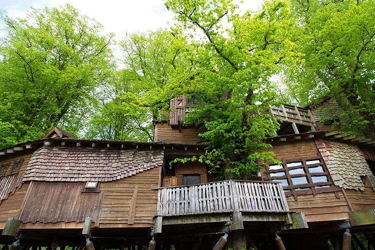 Tree,Vegetation,Roof,House,Architecture,Plant,Building,Woody plant,Spring,Home