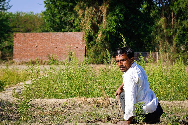 Noida Folks This Farm Home Delivers Healthy Preservative F