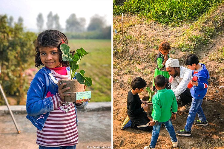 Noida Folks This Farm Home Delivers Healthy Preservative F