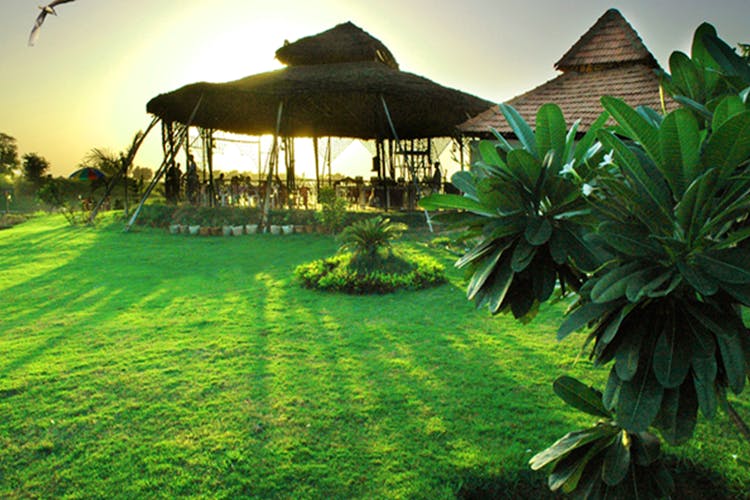 Resort,Natural landscape,Grass,Palm tree,Tree,Botany,Lawn,Arecales,Leaf,Tropics