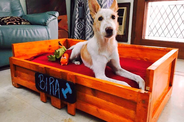 Wanna Make Your Own Table? Order These EcoFriendly DIY Furniture Kits