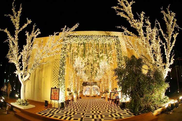 Decoration,Lighting,Light,Stage,Architecture,Christmas lights,Tree,Landscape lighting,Wedding reception,Event