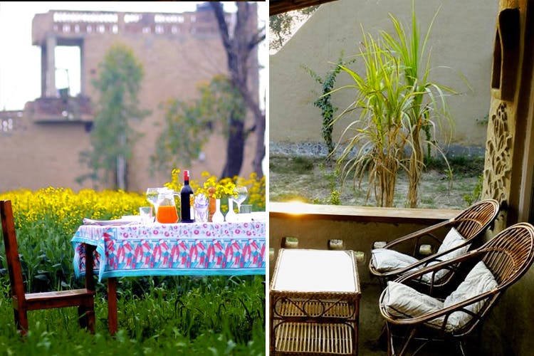 Photograph,Green,Backyard,Yellow,Chair,Table,Furniture,Grass,Plantation,House