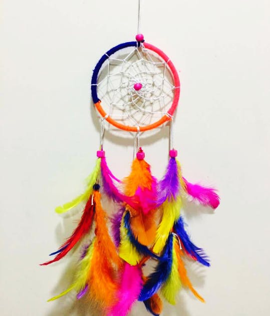 Feather,Piñata,Bird toy,Bird supply,Baby toys,Fashion accessory