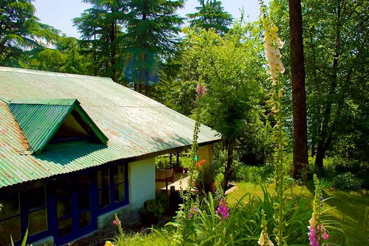 Cottage,Roof,House,Property,Tree,Home,Jungle,Building,Rural area,Hut