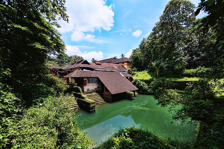 Nature,Natural landscape,House,Sky,Architecture,Botany,Tree,Rural area,Cottage,Building