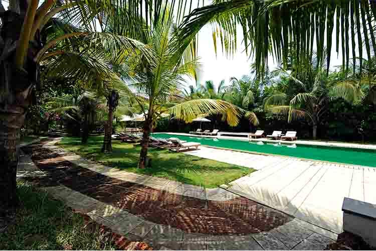 Resort,Property,Swimming pool,Palm tree,Backyard,Arecales,Tree,Real estate,Eco hotel,Leisure