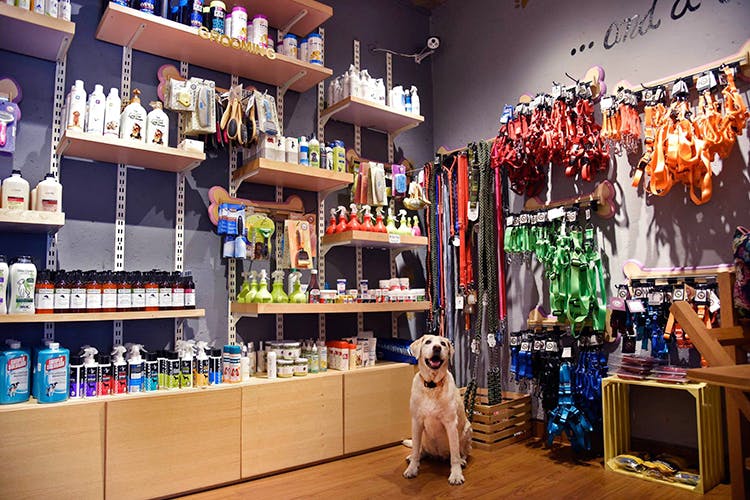 Building,Bar,Barware,Retail,Outlet store,Liquor store,Sporting Group,Canidae,Companion dog,Alcohol