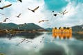 gallery-thumb-image-5