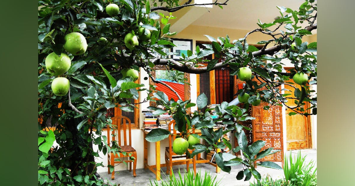 Red House Cafe Inn Old Manali Lbb Delhi Red House Cafe Inn Old Manali Lbb Delhi