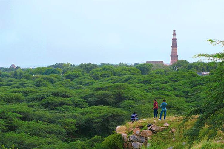 Want To See The Moon Rise From A Delhi Forest? Join This Walk In The Dark |  LBB