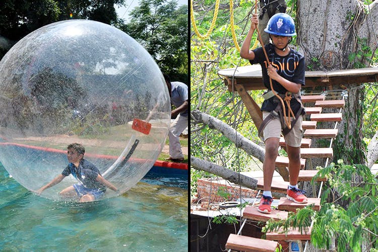 Water,Youth,Fun,Leisure,Tree,Recreation,Vacation,Adventure,Extreme sport,Jungle
