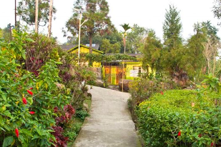 Nature,Vegetation,Botanical garden,Property,Natural landscape,Garden,Nature reserve,Botany,Real estate,Resort