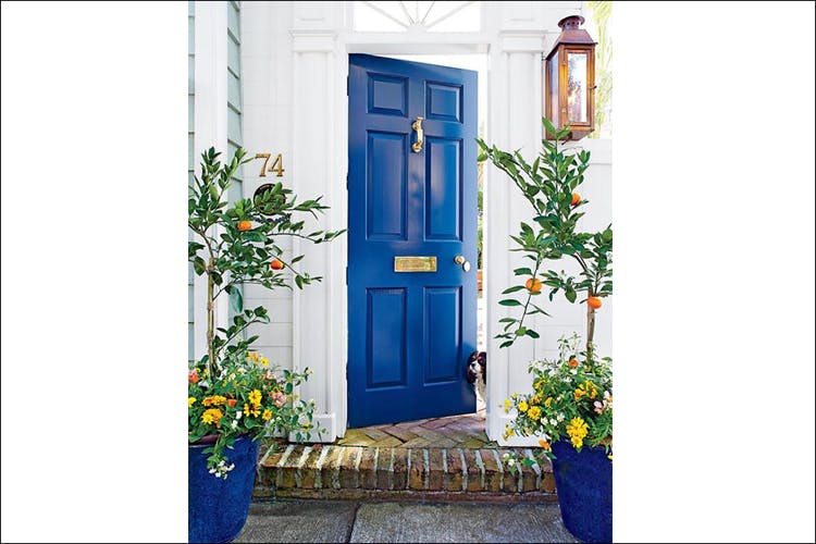 Blue,Property,Door,Flower,Building,Facade,Plant,Window,Home,Architecture