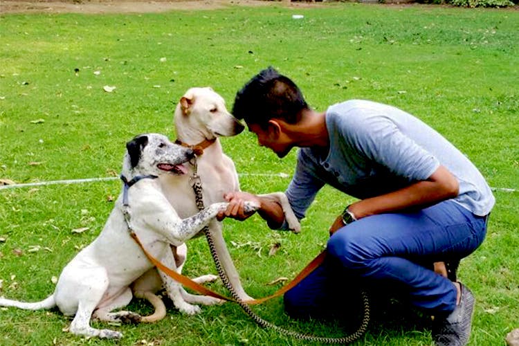 Aaron Patrick D' Silva - Canine Behaviourist And Animal Communicator | LBB
