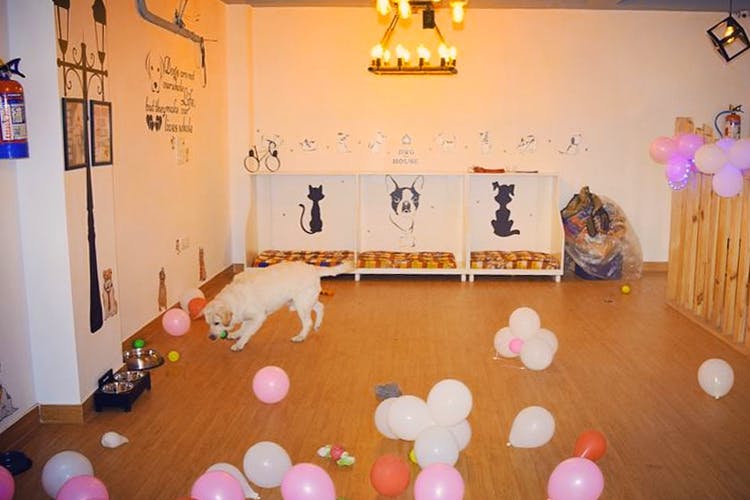 Room,Balloon,Floor,Interior design,Flooring,Party,Party supply,Play,Building,Child