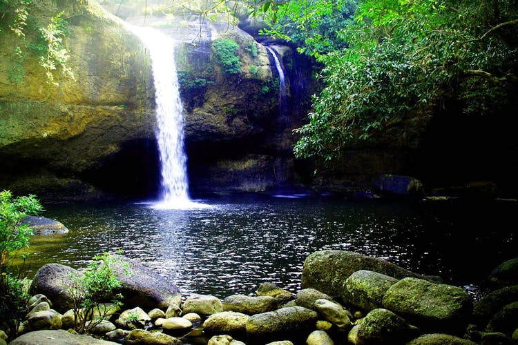 Waterfall,Water resources,Body of water,Natural landscape,Nature,Water,Nature reserve,Watercourse,Vegetation,Stream