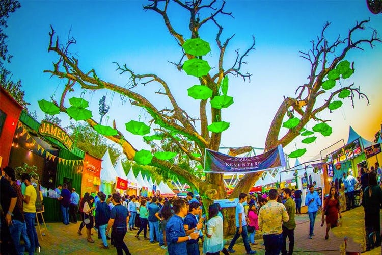 Crowd,Tree,Leisure,Fun,Event,World,Pedestrian,Adaptation,Tourism,Plant