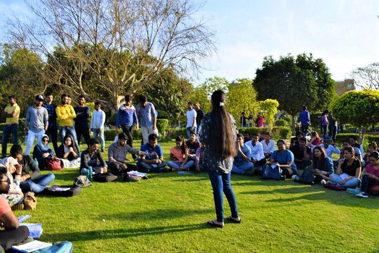 Crowd,Lawn,Event,Community,Youth,Spring,Botany,Tree,Grass,Park