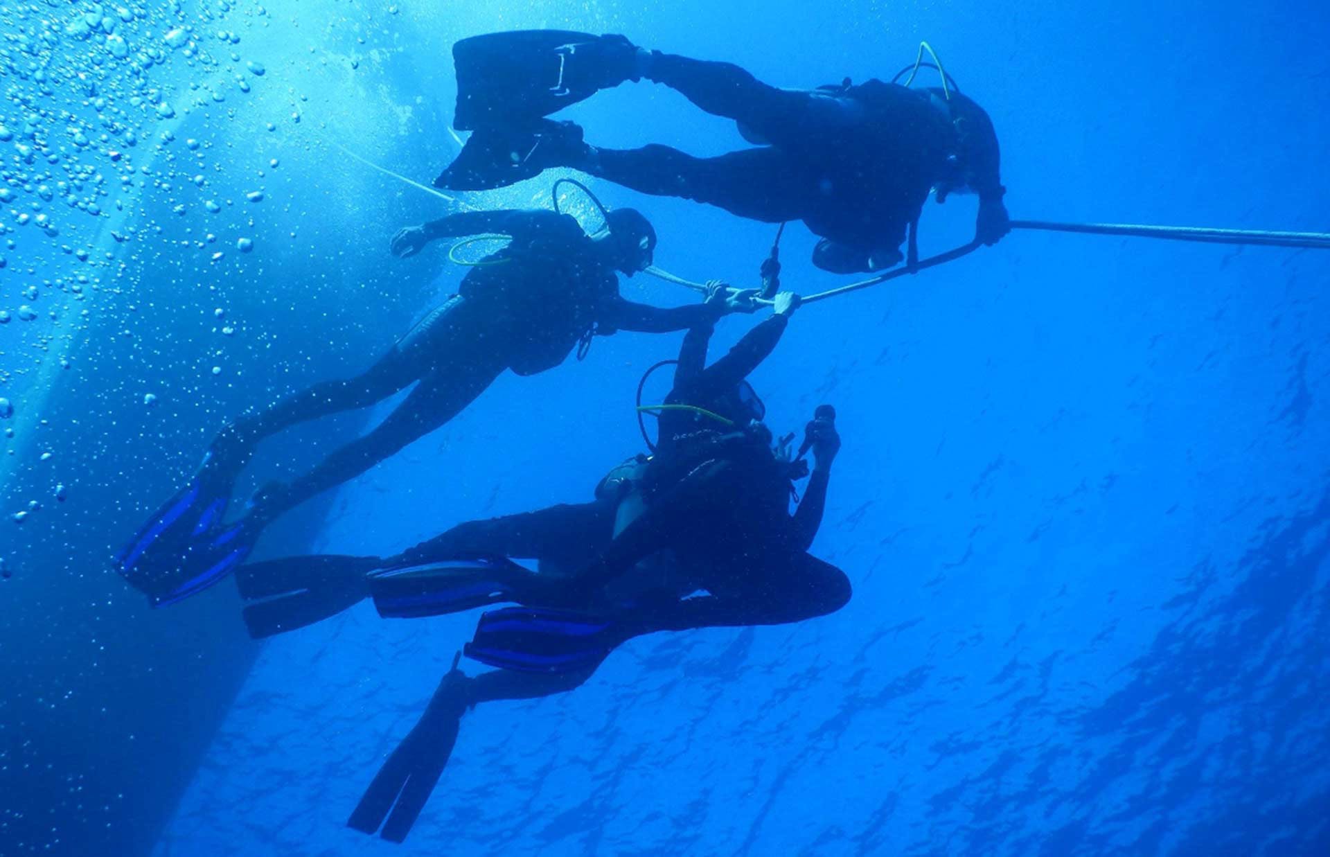 Scuba diving,Underwater diving,Water,Blue,Underwater,Divemaster,Diving equipment,Recreation,Dry suit,Swimfin