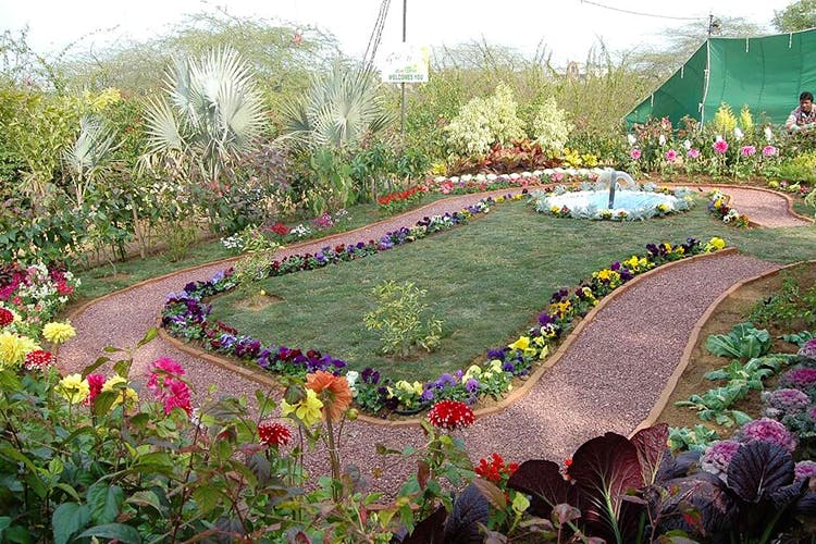 what-to-explore-at-the-garden-of-five-senses-lbb-delhi