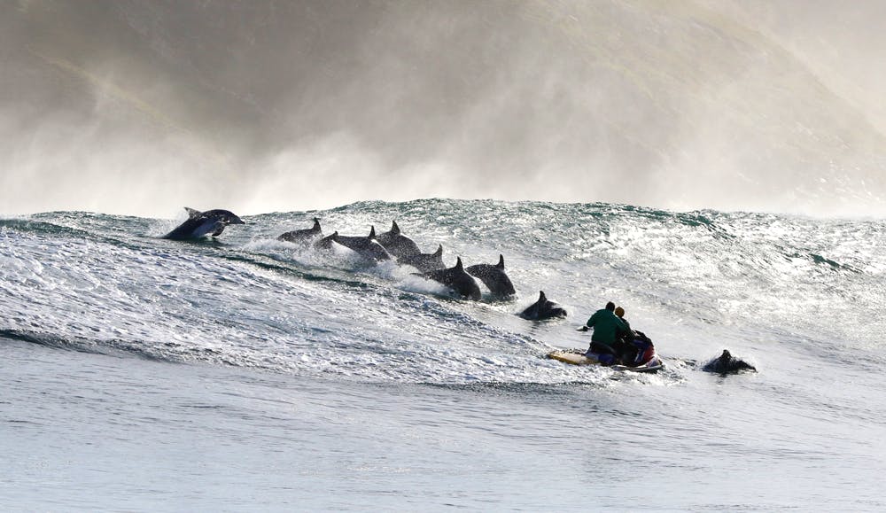 Wave,Wind wave,Surface water sports,Surfing,Geological phenomenon,Sea,Tide,Water,Boardsport,Bodyboarding