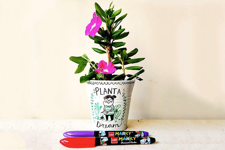 Flowerpot,Houseplant,Flower,Plant,Pink,Vase,Purple,Artificial flower,Font,Cut flowers