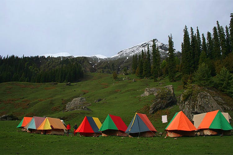 Wilderness,Mountainous landforms,Mountain,Tent,Grassland,Natural environment,Grass,Biome,Camping,Tree