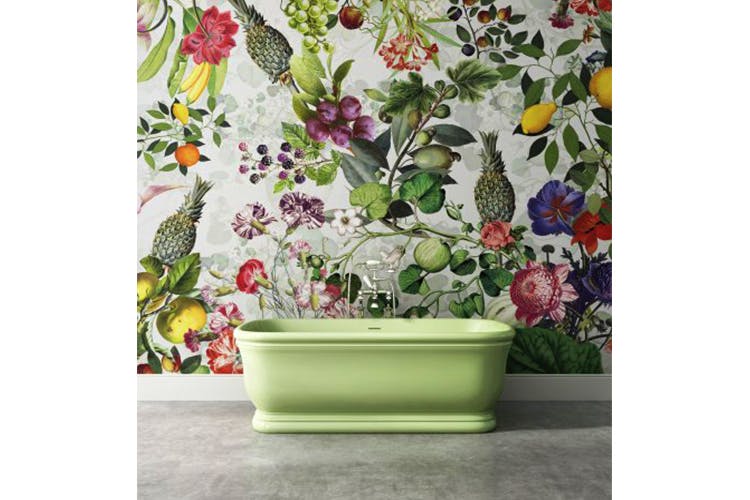 Flowerpot,Plant,Flower,Wall,Ceramic,Wallpaper,Wildflower,Houseplant,Interior design,Interior design