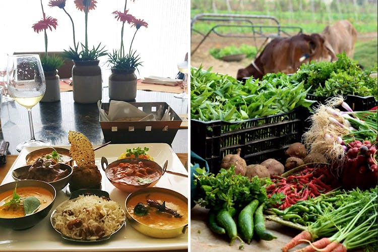 Food,Dish,Meal,Cuisine,Ingredient,Comfort food,Recipe,Produce,Brunch,Vegetarian food