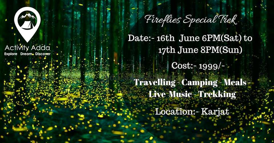 Nature,Text,Vegetation,Font,Natural landscape,Natural environment,Organism,Terrestrial plant,Forest,Adaptation