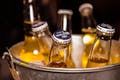 Bottle,Glass bottle,Yellow,Drink,Liqueur,Alcohol,Mason jar,Distilled beverage,Honey,Beer