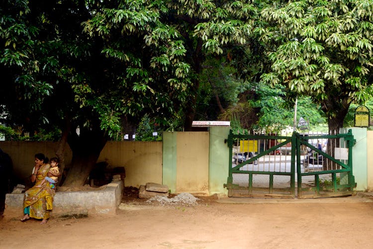 The Old Houses Of Basavanagudi Little Black Book, Bangalore
