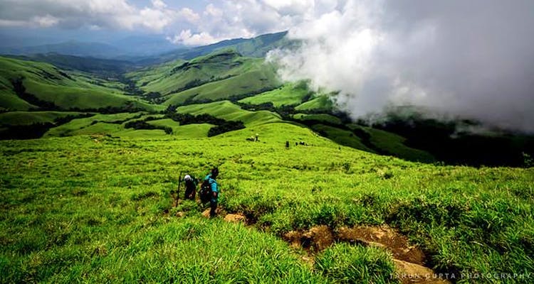 Mountainous landforms,Highland,Mountain,Grassland,Natural landscape,Nature,Hill station,Hill,Wilderness,Vegetation