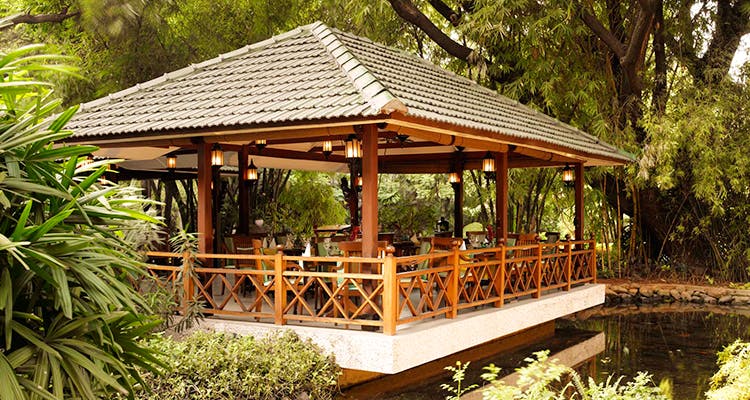 Gazebo,Pavilion,Building,Botany,Resort,Outdoor structure,Roof,Deck,House,Tree