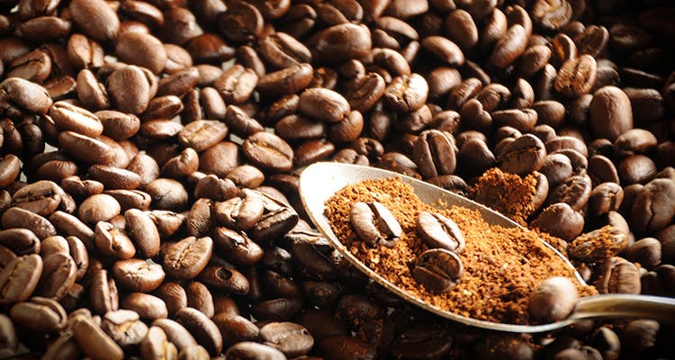 Single-origin coffee,Caffeine,Java coffee,Bean,Jamaican blue mountain coffee,Kona coffee,Food,Kopi luwak,Coffee,Vegetable