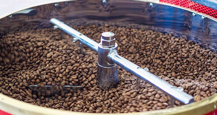 Kopi luwak,Instant coffee,Coffee,Single-origin coffee,Caffeine,Bean,Food,Jamaican blue mountain coffee,Plant,Seed