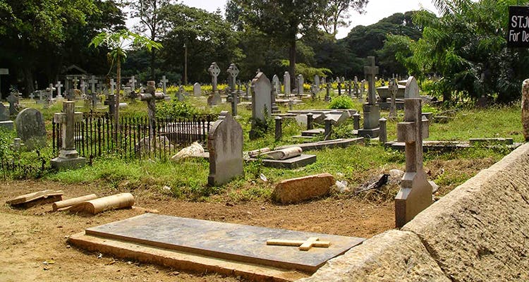 Grave,Cemetery,Headstone,Tree,Memorial,Plant,Nonbuilding structure