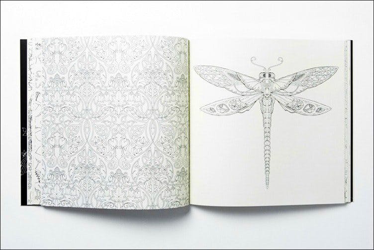Butterfly,Paper product,Paper,Insect,Notebook,Rectangle
